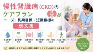 慢性腎臓病（CKD）のケアプラン｜ニーズ・長期目標・短期目標の例文集