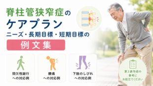 脊柱管狭窄症のケアプラン｜ニーズ・長期目標・短期目標の例文集